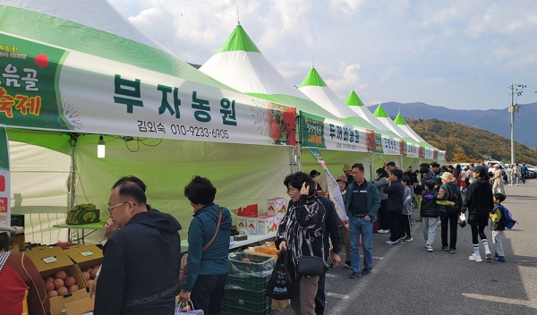 밀양 얼음골 사과 소비 촉진 행사가 11월 2~3일 얼음골 공영주차장과 선샤인 밀양 테마파크에서 열린다. 사진은 지난해 밀양 얼음골 사과 축제 모습. (사진=밀양시)copyright 데일리중앙